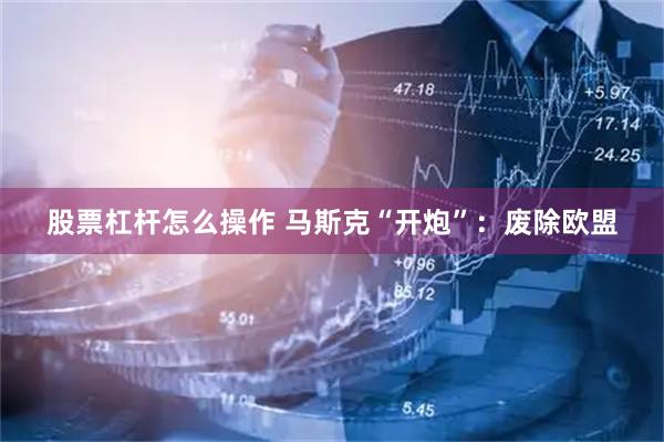股票杠杆怎么操作 马斯克“开炮”：废除欧盟