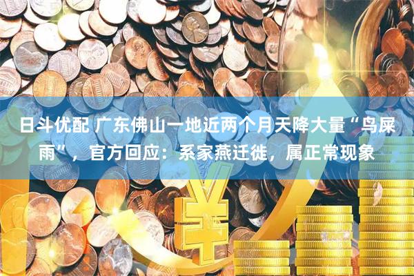 日斗优配 广东佛山一地近两个月天降大量“鸟屎雨”，官方回应：系家燕迁徙，属正常现象