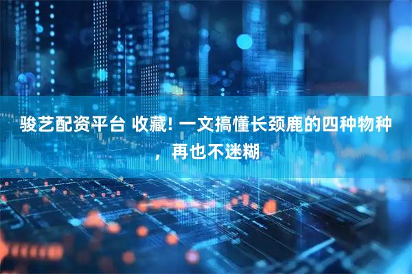 骏艺配资平台 收藏! 一文搞懂长颈鹿的四种物种，再也不迷糊