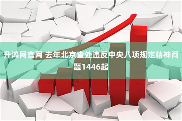 升鸿网官网 去年北京查处违反中央八项规定精神问题1446起