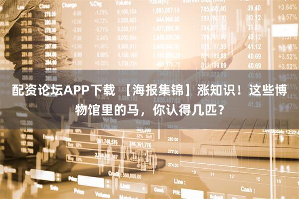 配资论坛APP下载 【海报集锦】涨知识！这些博物馆里的马，你认得几匹？