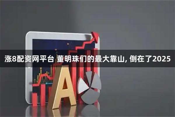 涨8配资网平台 董明珠们的最大靠山, 倒在了2025